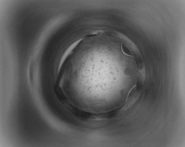 X0000101960381200807251159