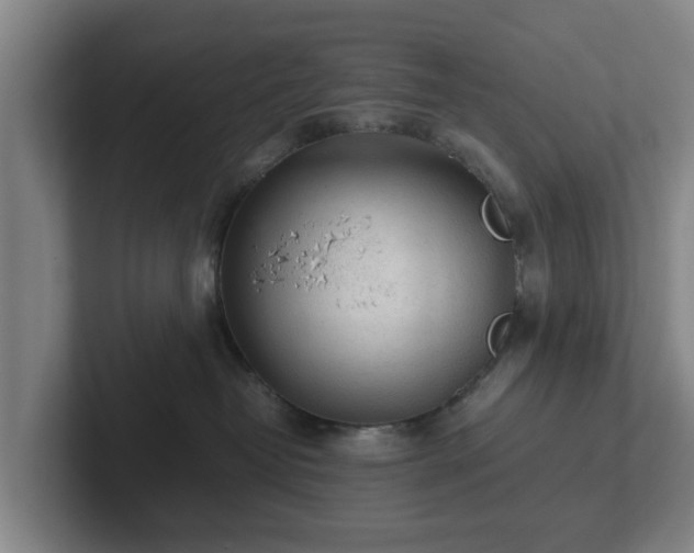 X0000101960382200807251159