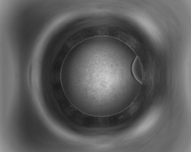 X0000101960383200807251159