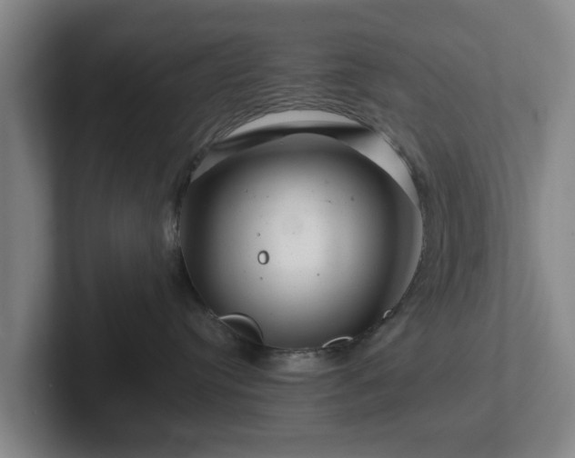 X0000101960384200807251159