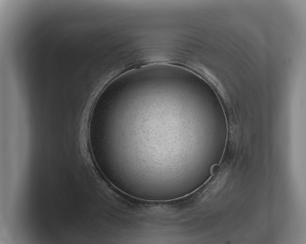 X0000101960385200807251159