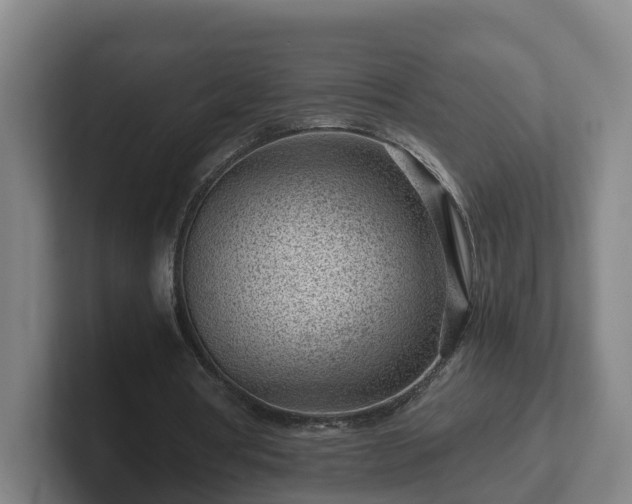 X0000101960386200807251159