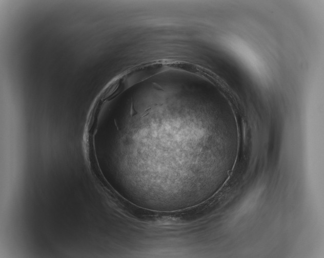 X0000101960387200807251159