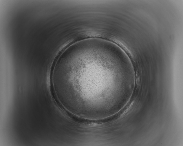 X0000101960390200807251159