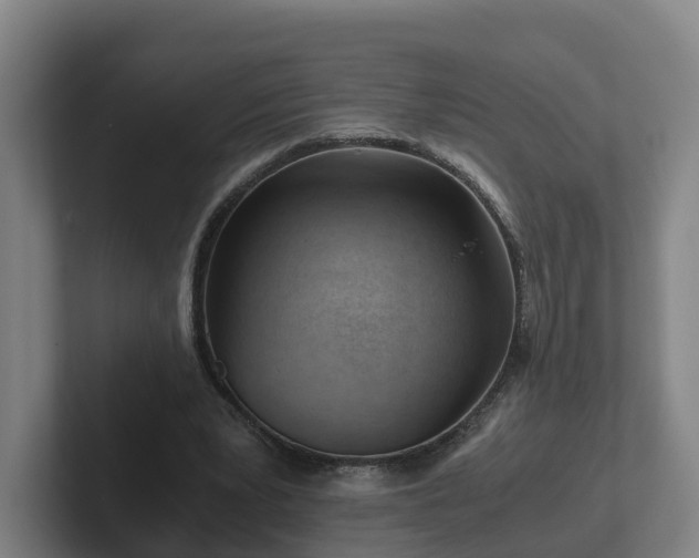 X0000101960391200807251159