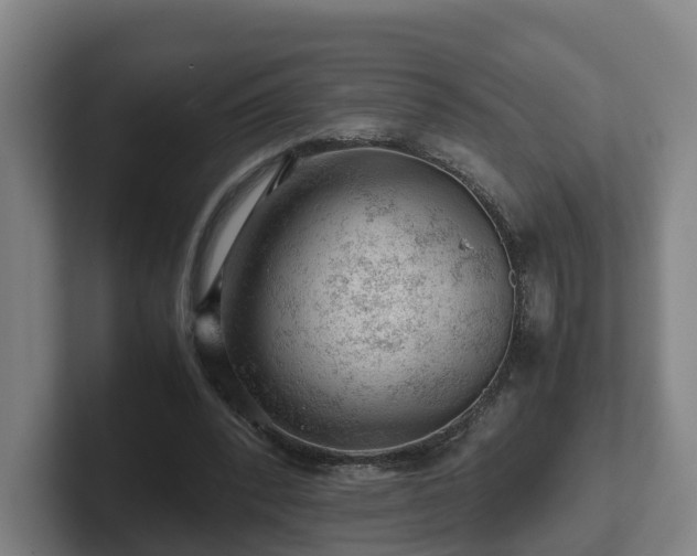 X0000101960392200807251159