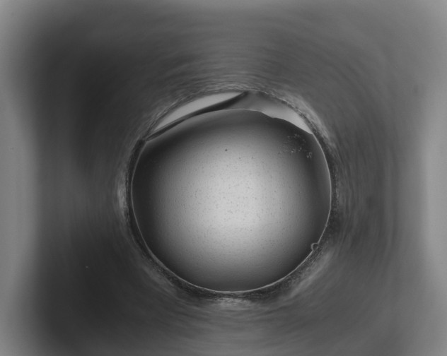 X0000101960393200807251159