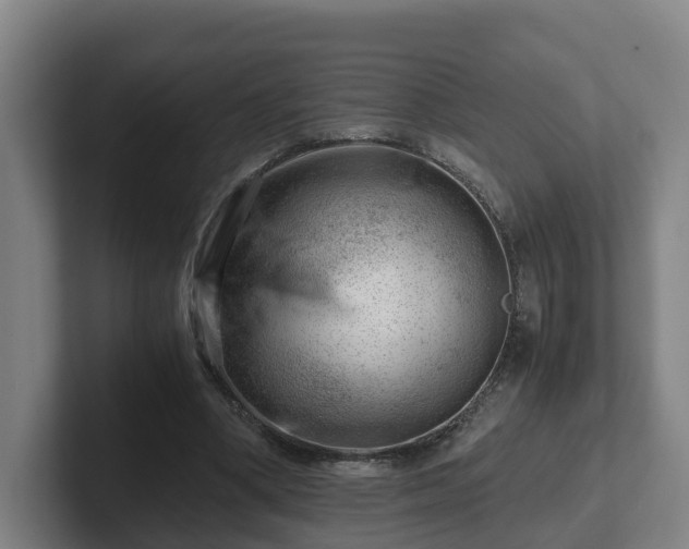 X0000101960394200807251159