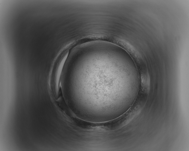 X0000101960396200807251159