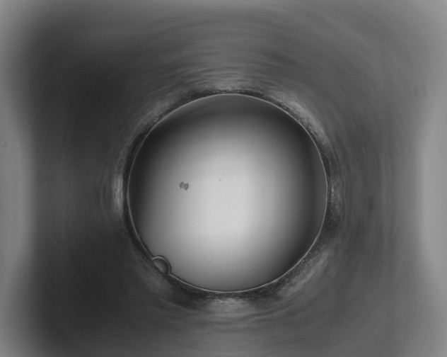 X0000101960397200807251158