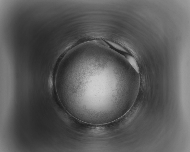 X0000101960398200807251158