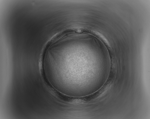 X0000101960399200807251158