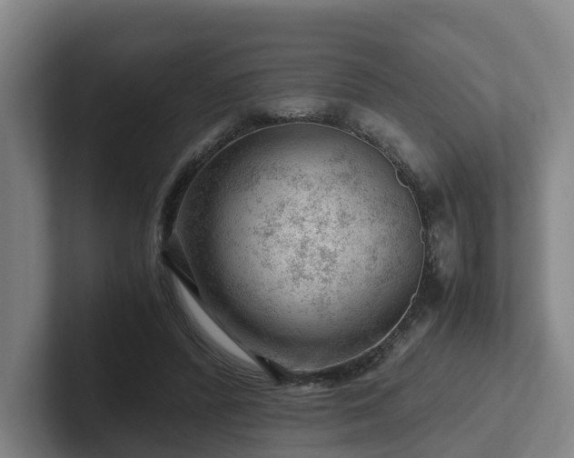 X0000101960400200807251158