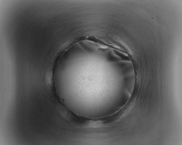 X0000101960403200807251158