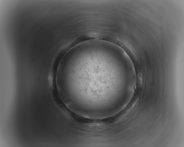 X0000101960404200807251158