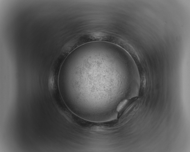 X0000101960408200807251158