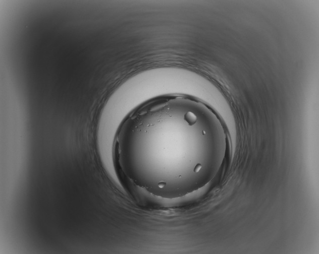 X0000101960411200807251158