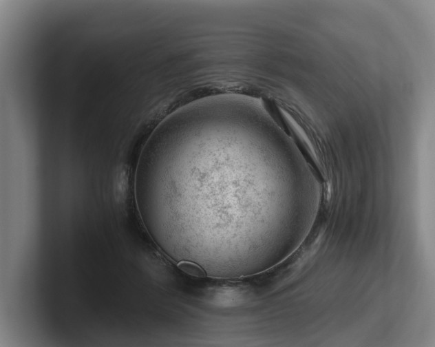 X0000101960412200807251158