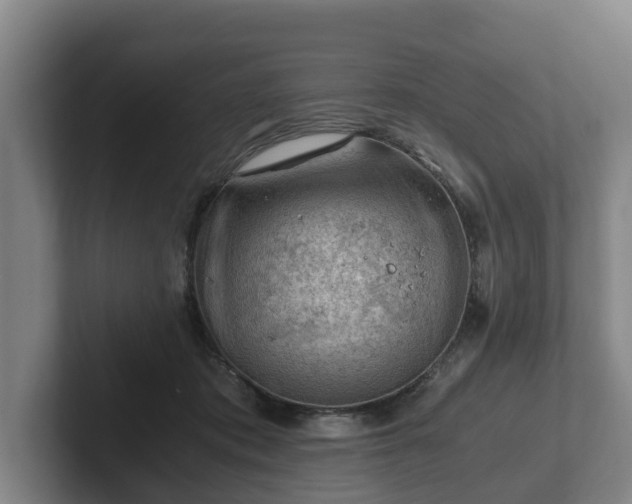 X0000101960413200807251158