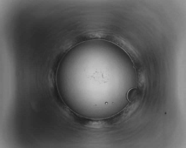 X0000101960414200807251158