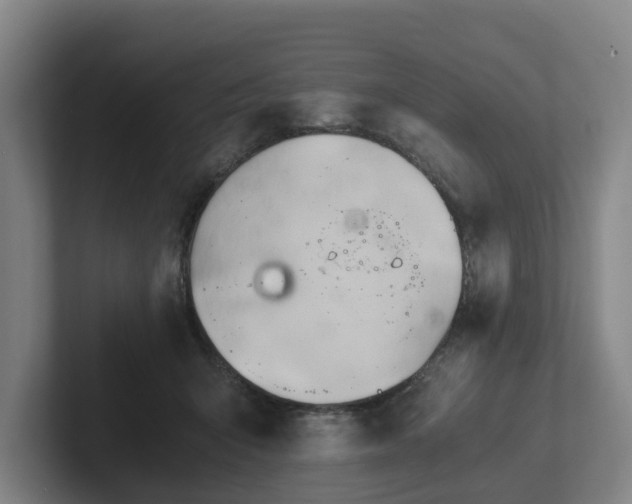 X0000101960415200807251158