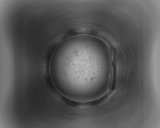 X0000101960416200807251158