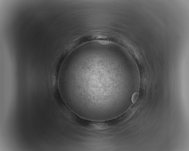 X0000101960417200807251158