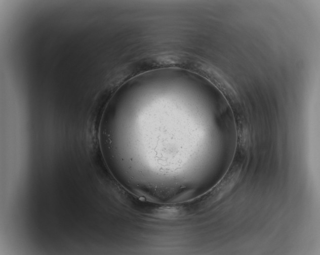 X0000101960418200807251158