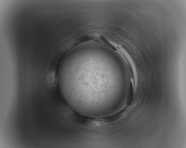 X0000101960420200807251158