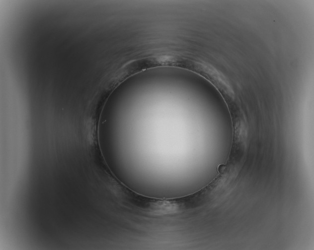 X0000101960421200807251158