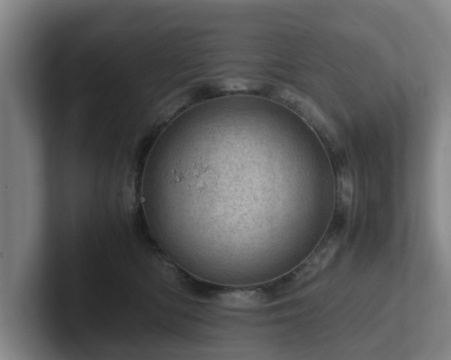 X0000101960422200807251158