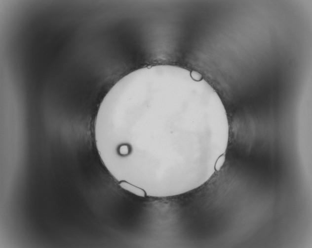 X0000101960423200807251158