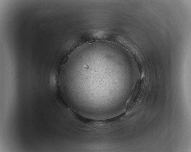 X0000101960424200807251158