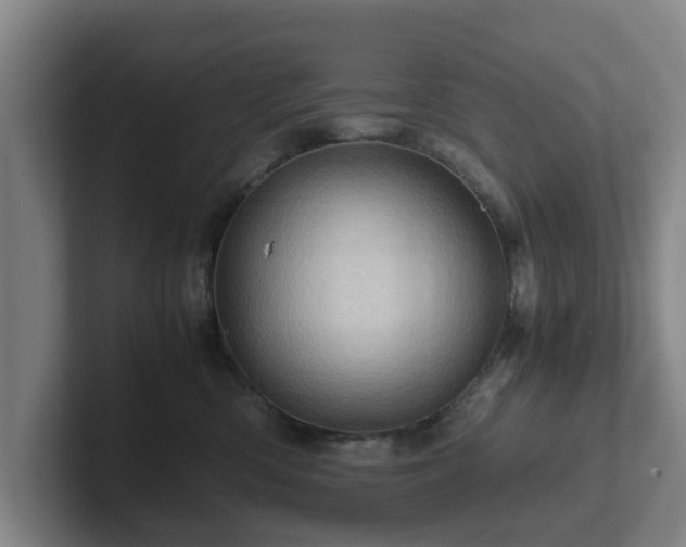 X0000101960426200807251158