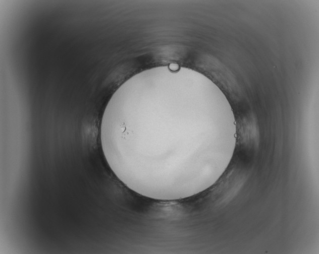 X0000101960427200807251158