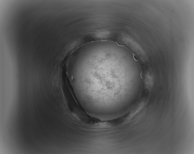 X0000101960428200807251158