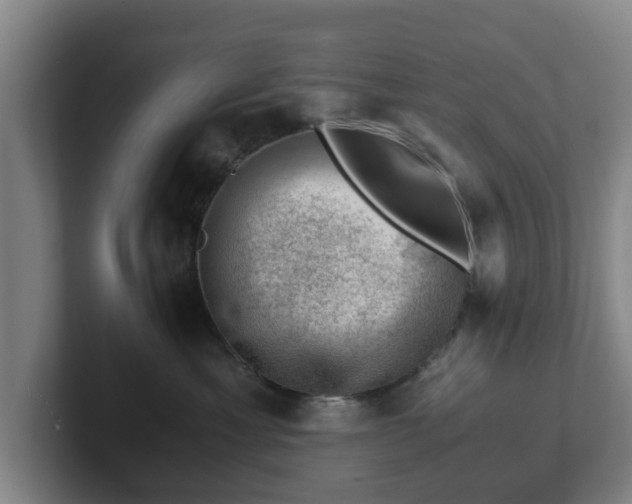 X0000101960429200807251158