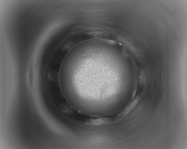 X0000101960430200807251158