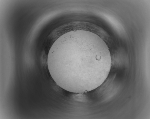 X0000101960431200807251158