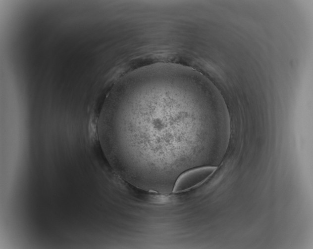 X0000101960432200807251158