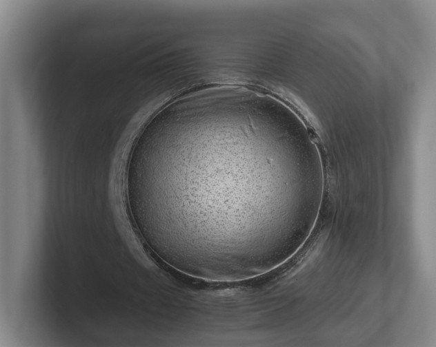 X0000101960433200807251157