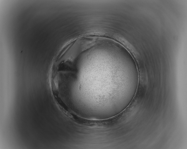 X0000101960434200807251157