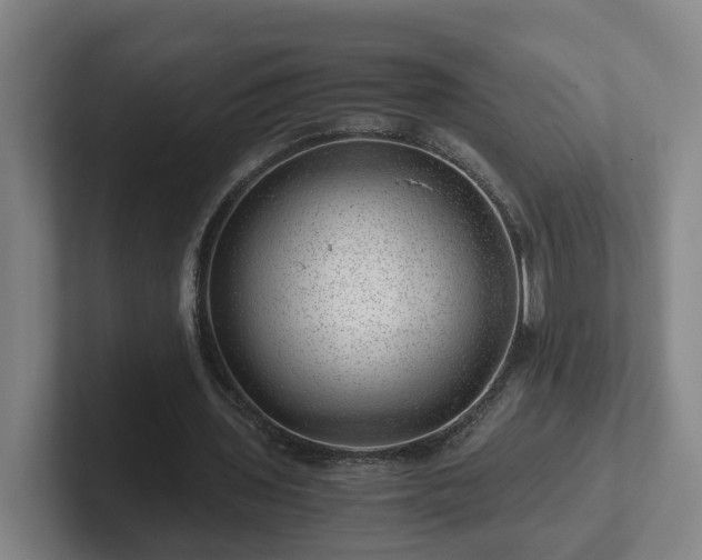 X0000101960435200807251157