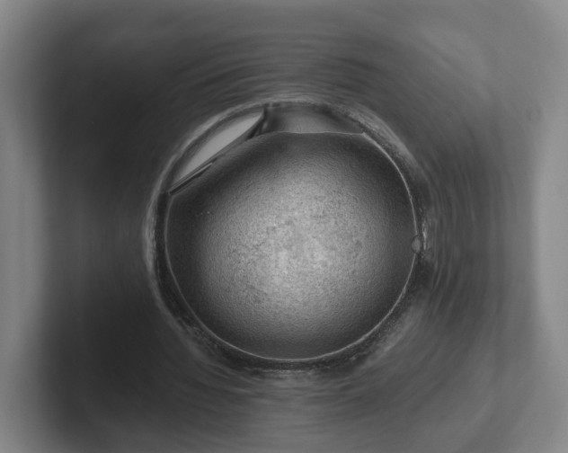 X0000101960436200807251157