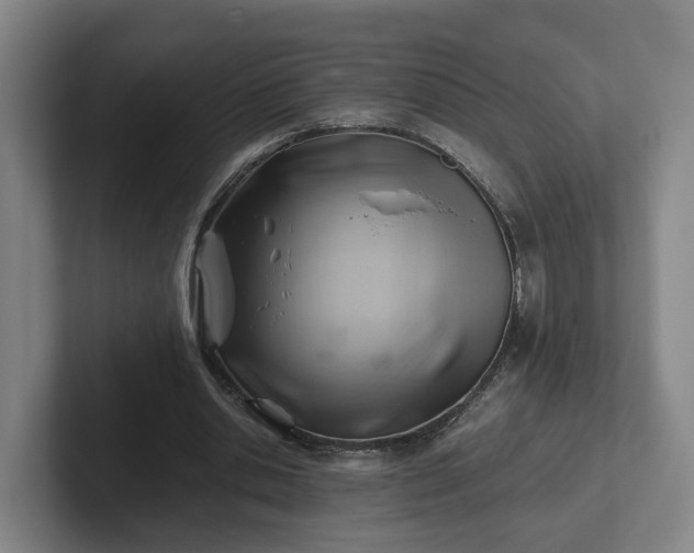 X0000101960438200807251157