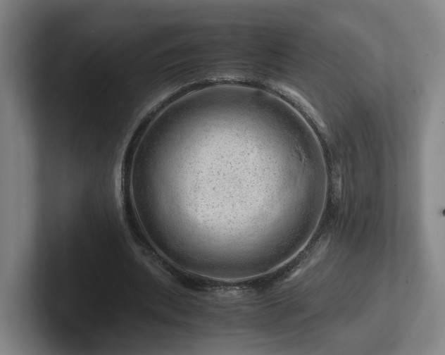 X0000101960439200807251157