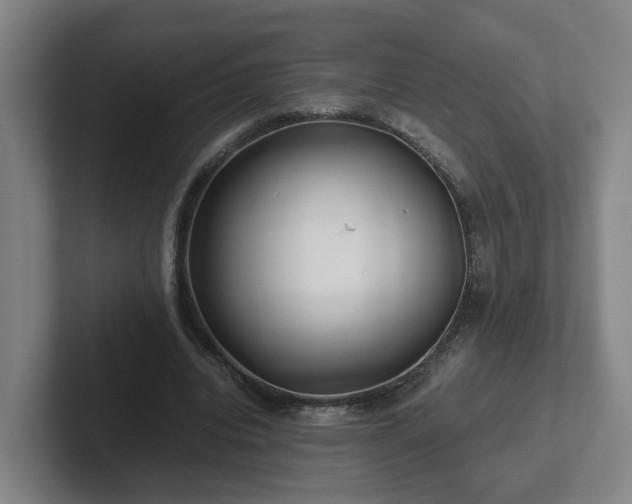 X0000101960440200807251158