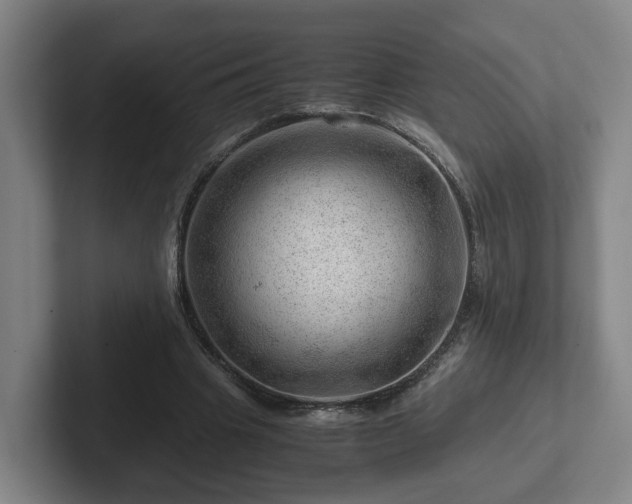 X0000101960441200807251158