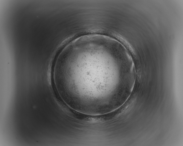 X0000101960442200807251158