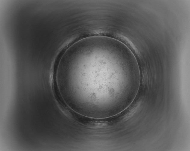 X0000101960443200807251158